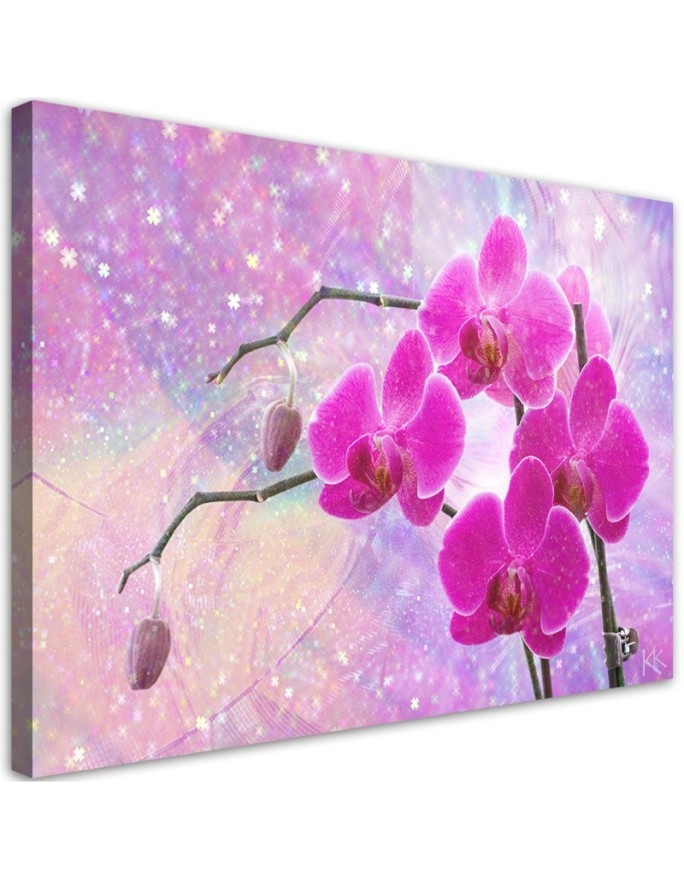 Bild auf Leinwand - Abstrakt Rosa Orchideen Blumen | Feeby