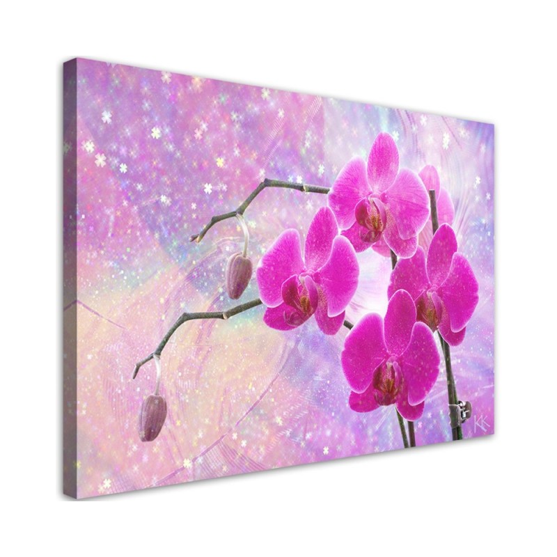 Bild auf Leinwand - Abstrakt Rosa Orchideen Blumen | Feeby