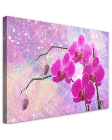Bild auf Leinwand - Abstrakt Rosa Orchideen Blumen | Feeby
