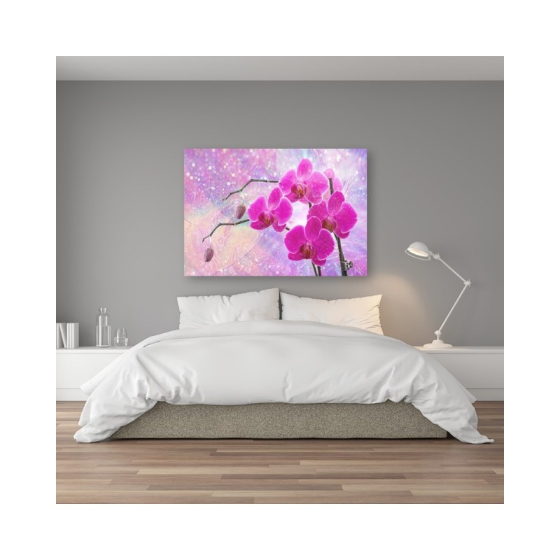 Bild auf Leinwand - Abstrakt Rosa Orchideen Blumen | Feeby