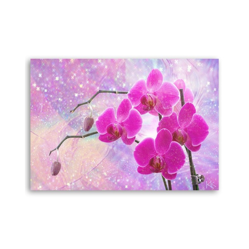 Bild auf Leinwand - Abstrakt Rosa Orchideen Blumen | Feeby