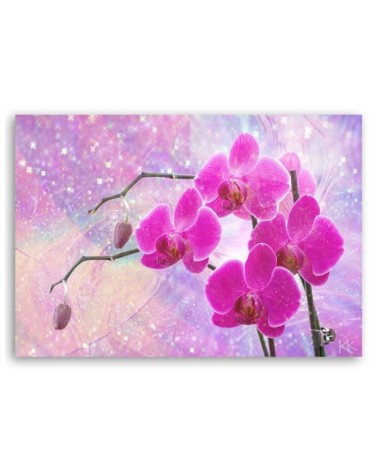 Bild auf Leinwand - Abstrakt Rosa Orchideen Blumen | Feeby