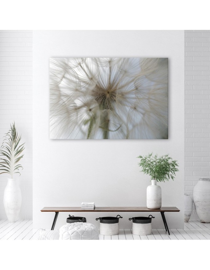 Canvas prints from photo - Dandelion plants nature | FEEBY