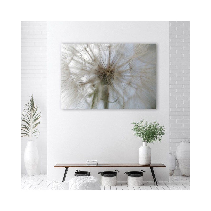 Leinwandbild - Pusteblume Pflanzen Natur | Feeby
