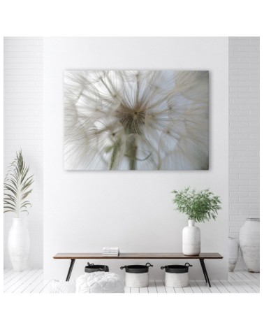 Leinwandbild - Pusteblume Pflanzen Natur | Feeby