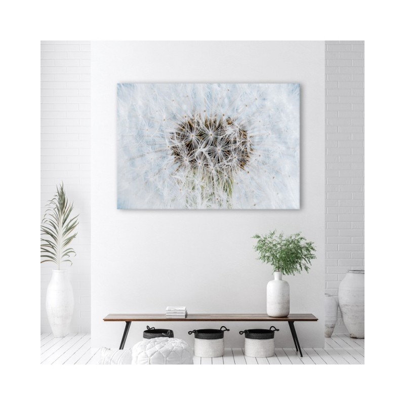 Bild auf Leinwand - Weiße Pusteblume Pflanzen | Feeby