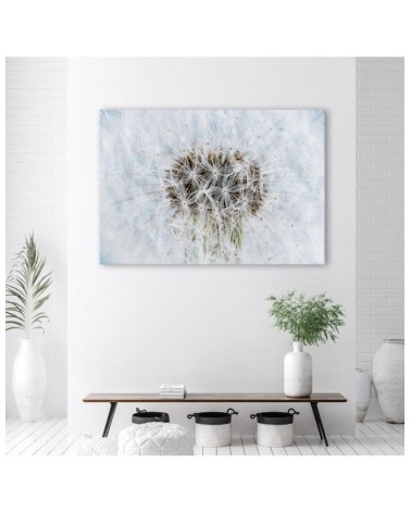 Bild auf Leinwand - Weiße Pusteblume Pflanzen | Feeby