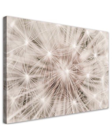 Modernes Wandbild - Pusteblume Natur Makro | Feeby