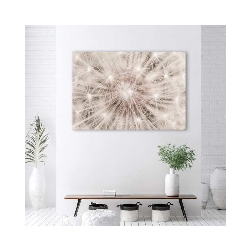 Modernes Wandbild - Pusteblume Natur Makro | Feeby
