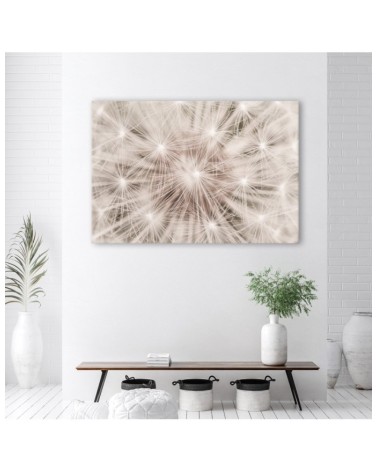 Modernes Wandbild - Pusteblume Natur Makro | Feeby