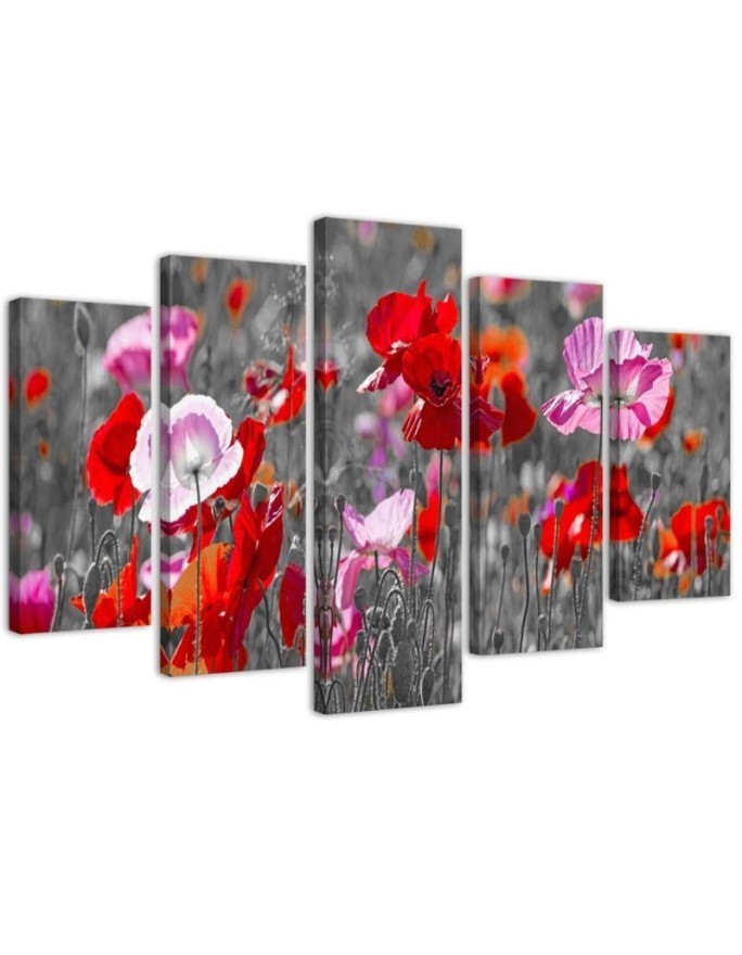 Leinwandbild modern - Roter Klatschmohn | Feeby
