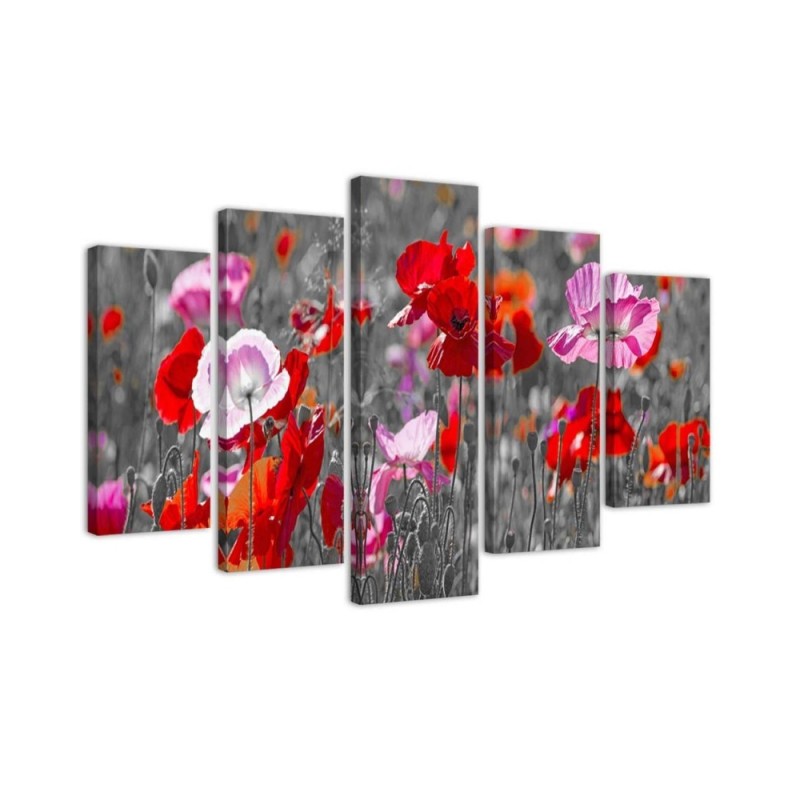 Leinwandbild modern - Roter Klatschmohn | Feeby