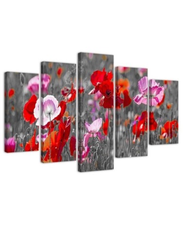Poppies on a meadow - Flower painting 5 parts | FEEBY