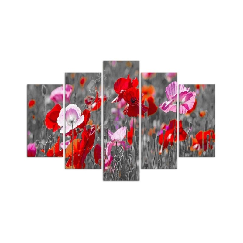 Leinwandbild modern - Roter Klatschmohn | Feeby