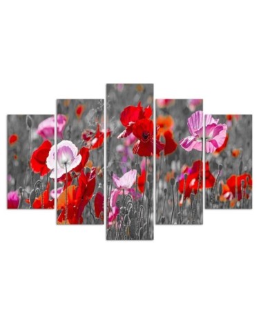 Leinwandbild modern - Roter Klatschmohn | Feeby