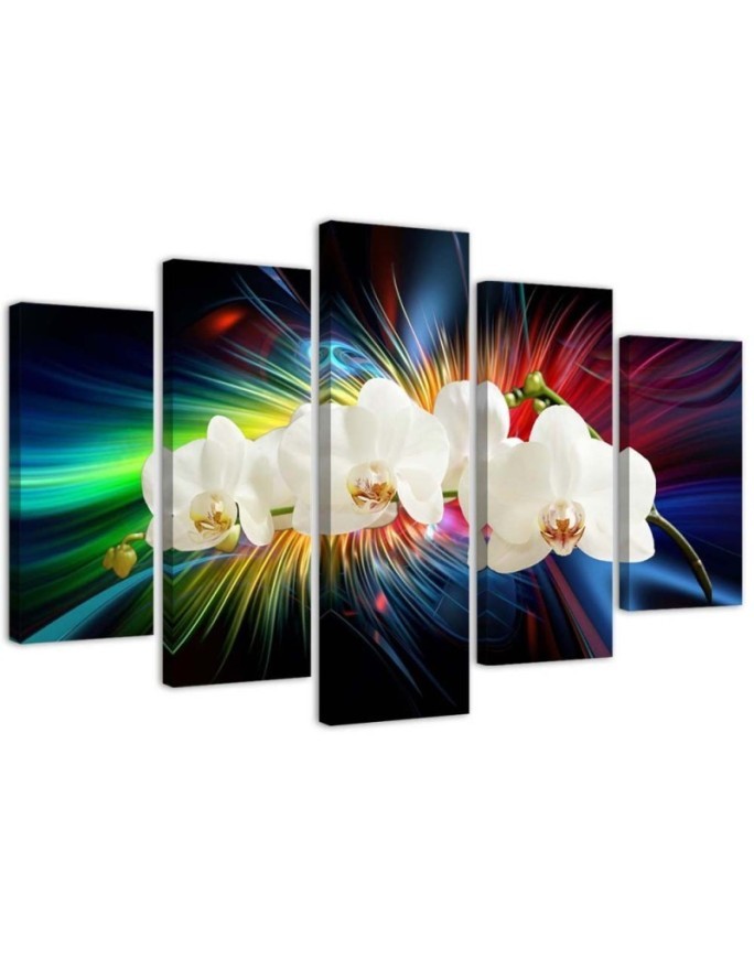 Wandbild für Wohnzimmer - Bunte Orchidee | Feeby