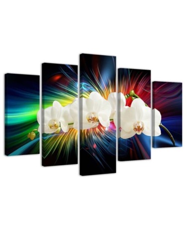 Wandbild für Wohnzimmer - Bunte Orchidee | Feeby