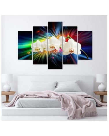 Wandbild für Wohnzimmer - Bunte Orchidee | Feeby