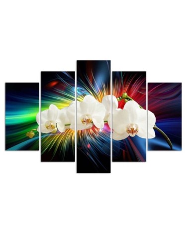Wandbild für Wohnzimmer - Bunte Orchidee | Feeby