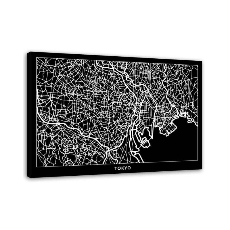 Leinwandbild - Tokio - Stadtplan | Feeby