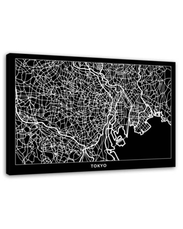 Leinwandbild - Tokio - Stadtplan | Feeby