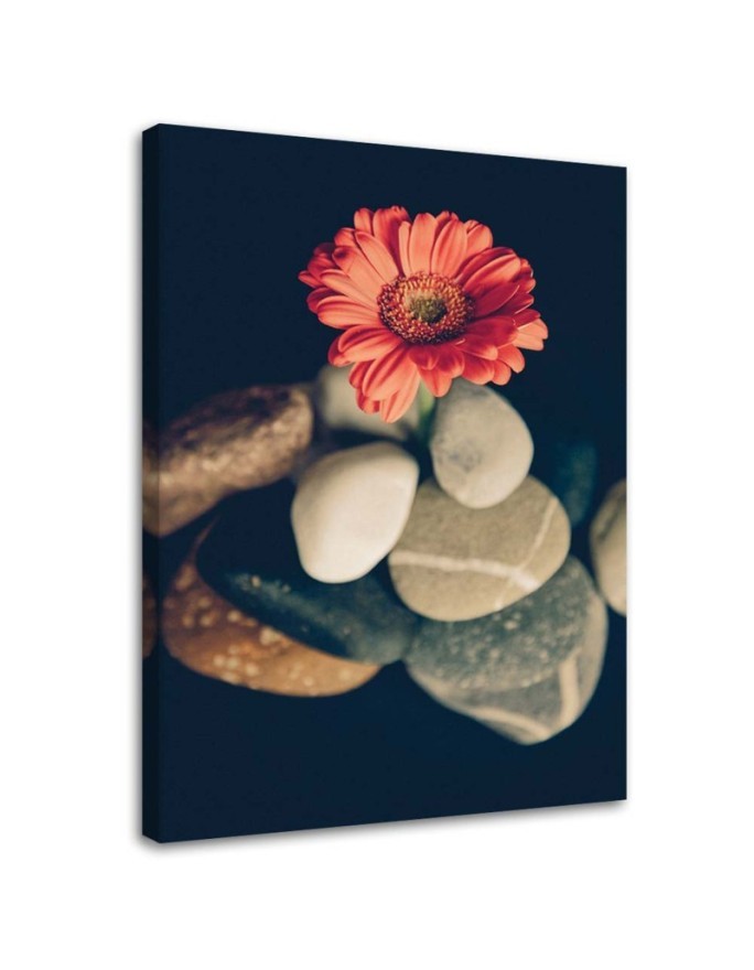 Obrazy do salonu - Martwa natura zen | FEEBY