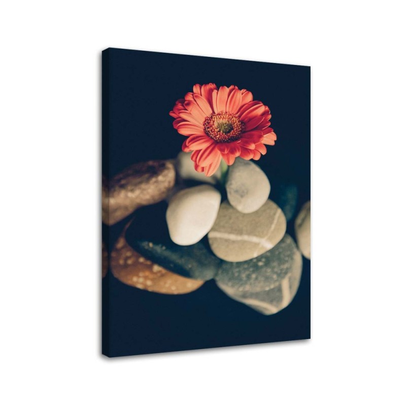 Obrazy do salonu - Martwa natura zen | FEEBY