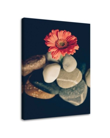 Canvas prints for the living room - Still life zen | FEEBY