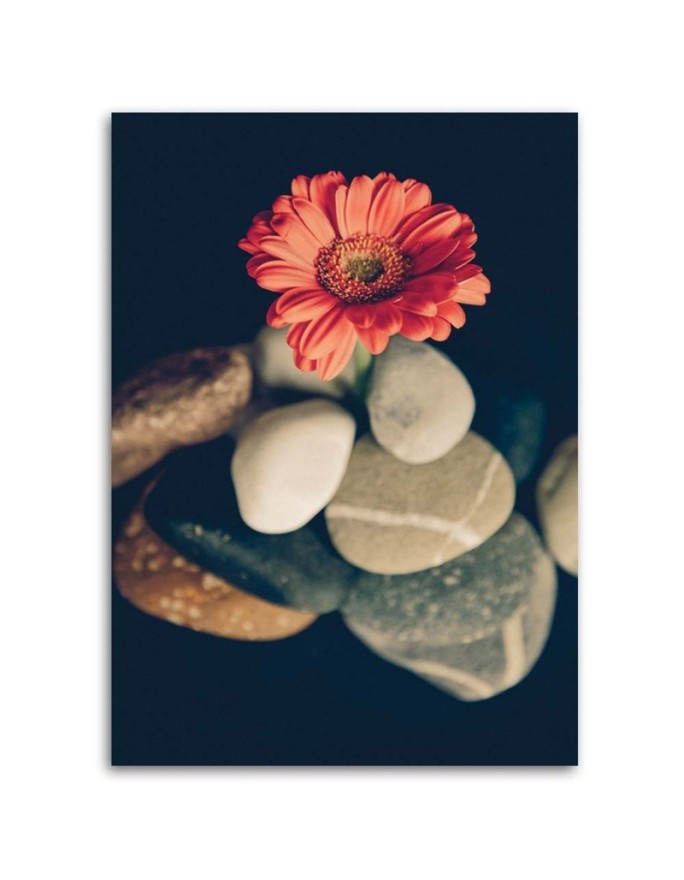 Obrazy do salonu - Martwa natura zen | FEEBY