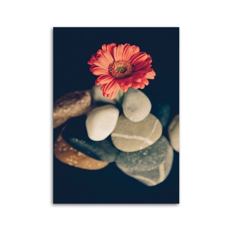 Leinwandbild - Zen-Stillleben | Feeby