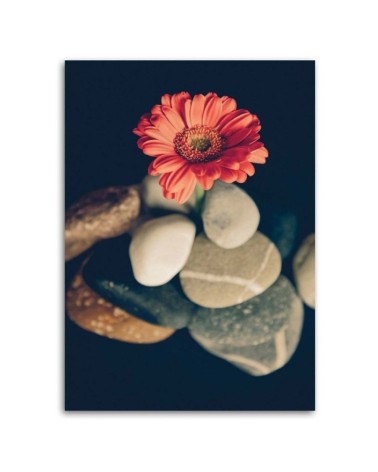 Leinwandbild - Zen-Stillleben | Feeby