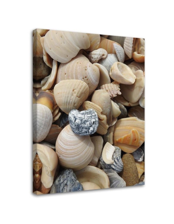 Leinwandbild modern - Muscheln und Steine am Strand | Feeby