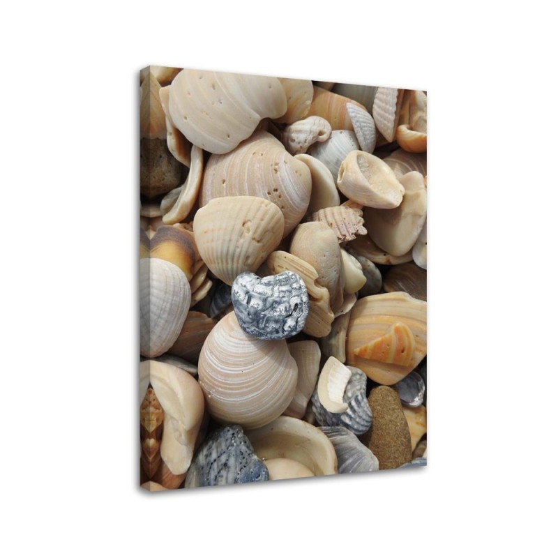 Leinwandbild modern - Muscheln und Steine am Strand | Feeby