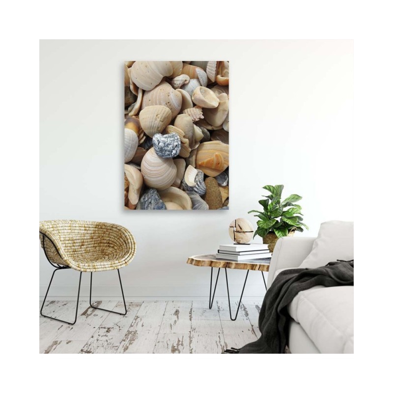 Leinwandbild modern - Muscheln und Steine am Strand | Feeby