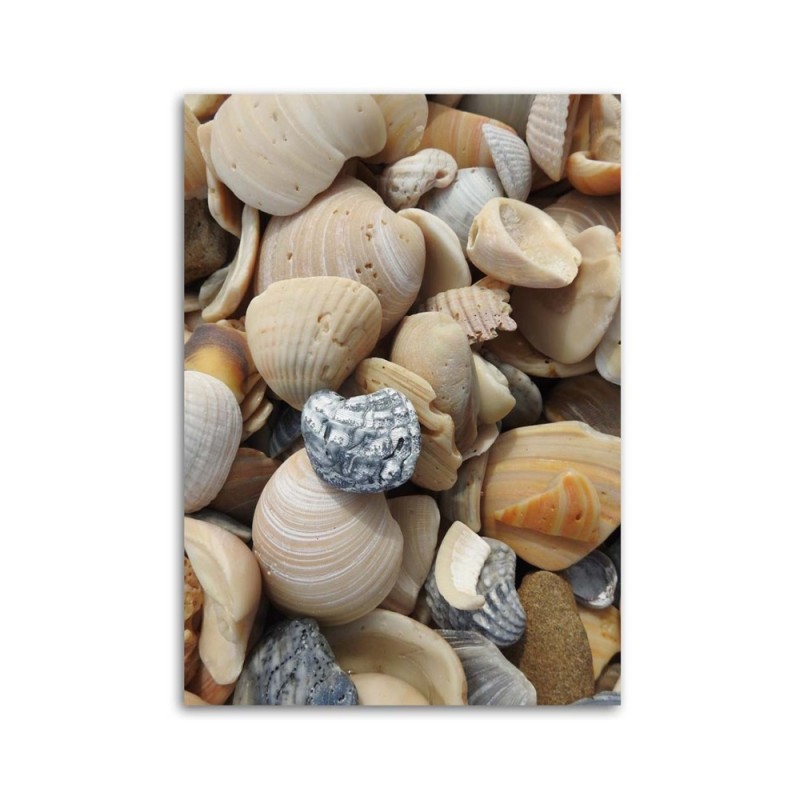 Leinwandbild modern - Muscheln und Steine am Strand | Feeby