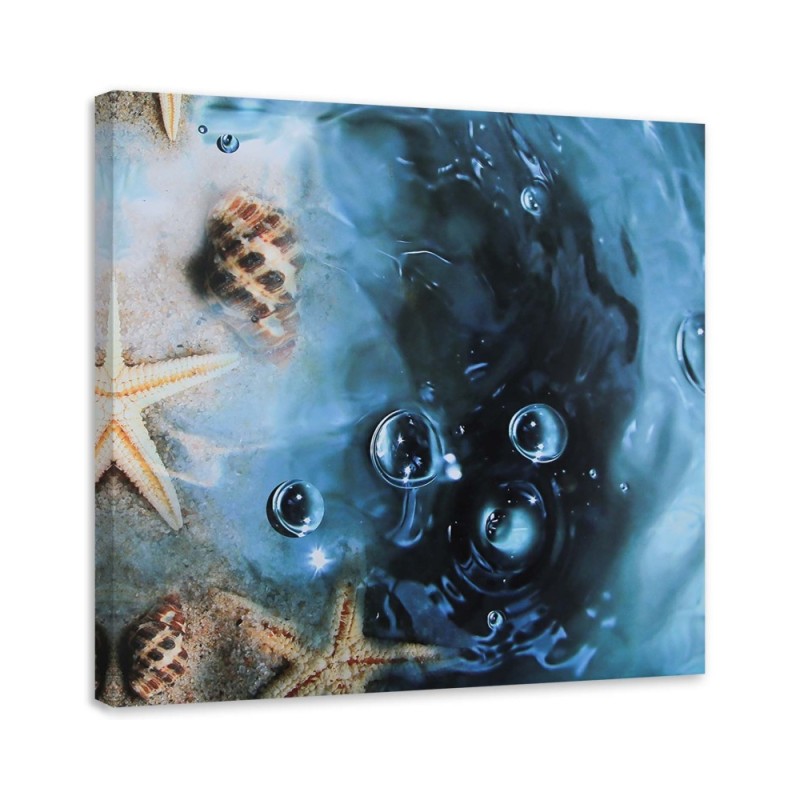 Leinwandbild - Muscheln in blauem Wasser | Feeby