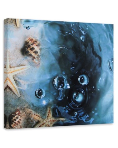Leinwandbild - Muscheln in blauem Wasser | Feeby
