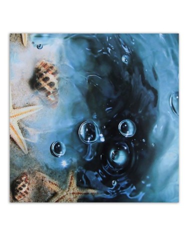 Leinwandbild - Muscheln in blauem Wasser | Feeby