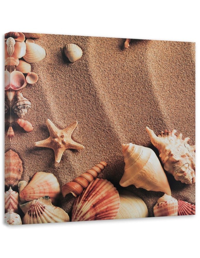 Modernes Wandbild - Muscheln auf trockenem Sand | Feeby