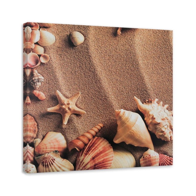 Modernes Wandbild - Muscheln auf trockenem Sand | Feeby