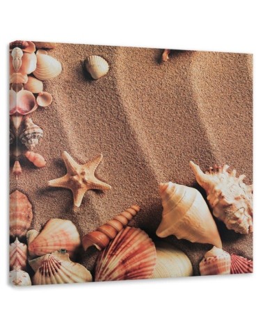 Modernes Wandbild - Muscheln auf trockenem Sand | Feeby