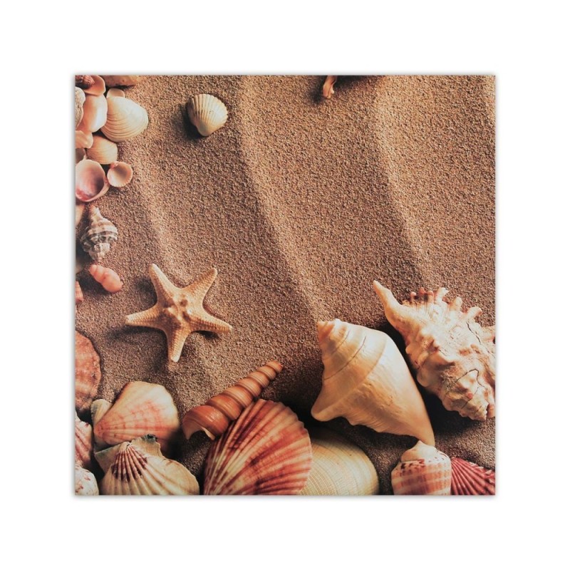Modernes Wandbild - Muscheln auf trockenem Sand | Feeby