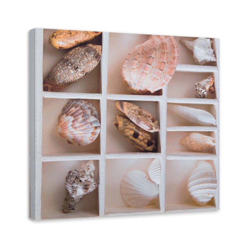 Leinwandbild - Sortierte Muscheln in einer Schachtel | Feeby