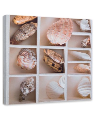 Leinwandbild - Sortierte Muscheln in einer Schachtel | Feeby