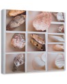 Marine Canvas paintings - Shells | FEEBY