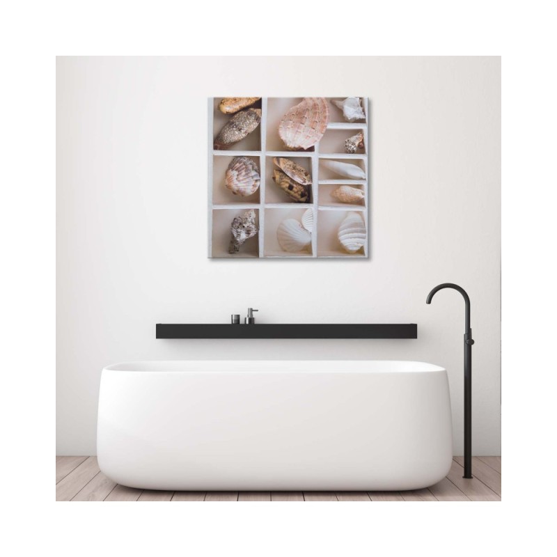 Leinwandbild - Sortierte Muscheln in einer Schachtel | Feeby