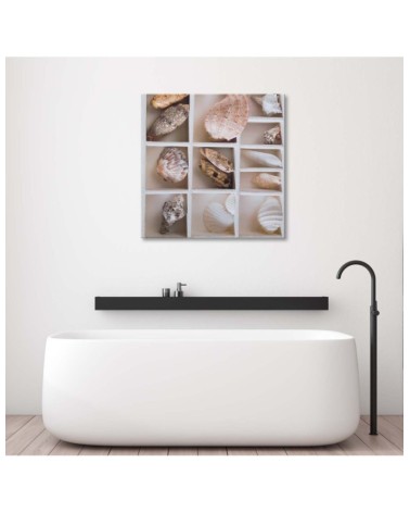 Leinwandbild - Sortierte Muscheln in einer Schachtel | Feeby