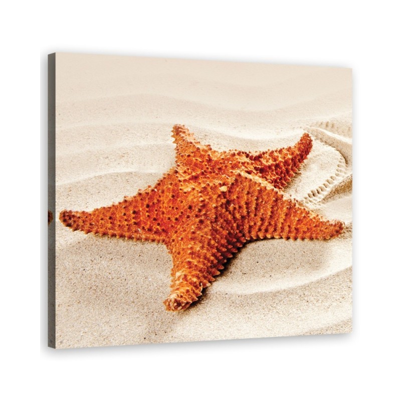 Wandbild für Wohnzimmer - Tiere - Beige | Feeby