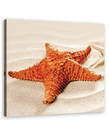 Marine Canvas prints art - Starfish beach | FEEBY
