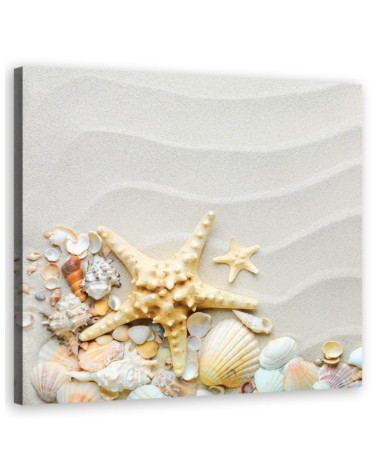 Marine Canvas paintings - Beach shells beige | FEEBY
